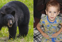 Ztracený chlapec (3) přežil dvě mrazivé noci v lese. „Ochránil mě medvěd,“ říká