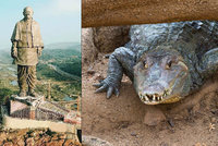 Turisty ohrožují stovky krokodýlů u nejvyšší sochy světa. Indové je pochytají a odvezou