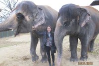 Heidi Janků oplakává mrtvou slonici Kalu: Znala jsem ji osobně!