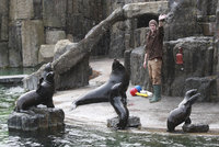 S příchodem jara vstoupila pražská zoo do nové sezony: Které nové přírůstky v ní potkáte?