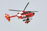 Hříbě koplo českého chlapečka (8) v Rakousku! Do nemocnice ho musel převézt vrtulník