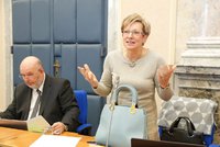 Ministři na pranýři: Zeman se zastal Novákové za data i Tomana za „fake news“