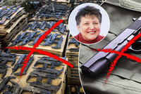 Džamila Stehlíková: Češi milují zbraně. Chybí síto na psychopaty a teroristy