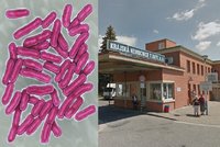 Salmonelóza řádí ve zlínské nemocnici: Po kuřeti s rýží je nejhůř na gynekologii