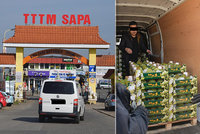Velká razie v Sapě: Celníci s policisty i veterináři lustrují auta s potravinami