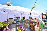 Od dubna startují jarmarky ve Zbraslavi: Lákají na čerstvé potraviny a sousedskou atmosféru