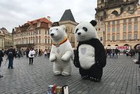 „Nevkusné“ obří pandy vyhnali i z Krumlova. Zakázali tam zvířecí kostýmy v ulicích