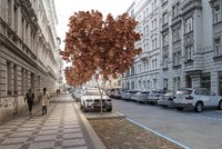 Revitalizace ulic v Praze 7: Radnice uspořádá veřejné diskuze k záměrům