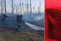 Roztomilého bobra zachraňovali hasiči: V lese jim pomáhal vrtulník