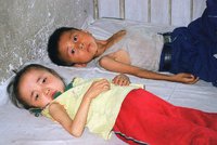 Zakrnělé děti a miliony podvyživených lidí: Do KLDR patrně zamíří potravinové balíčky