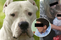 Vlastíčka (†1) zakousl nevychovaný pes: Majitel (31) dostal podmínku!