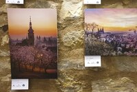 Svítání nad městem i ladné labutě u Vltavy: Výstava fotek v Jindřišské věži ukazuje všechny krásy Prahy