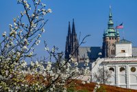 Mrazům v Praze odzvonilo: Velikonoční týden bude zalitý sluncem, teploty až 23 stupňů