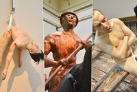 Nahý muž v loďce jako živý: V Rudolfinu vystavují 17 soch lidského těla