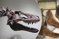 Muž prodává na internetu mladého tyrannosaura: Cenovka vám vyrazí dech!