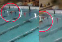 Hrůza v královéhradeckém bazénu: Žena se topila, lidé dál plavali kolem ní