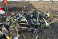 Nová teorie o nehodě Boeingu 737 MAX: Letadlo „sestřelil“ pták, tvrdí experti