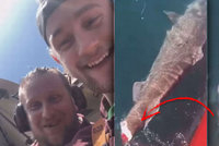 Ohroženému žralokovi uřízli ploutev a nechali ho krvácet. Mladíci se odporným videem chlubili