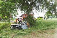 Smrtelné předjíždění: Dva lidé zemřeli u Strakonic po nárazu do stromu