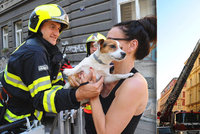 Chlupáčovo ranní dobrodružství: Vykračoval si po střeše třípatrového domu, psa museli zachránit hasiči