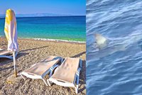 Dovolená v Chorvatsku v ohrožení: Po žralokovi přišla další rána pro turisty
