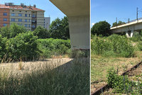 Holešovická „džungle“ u řeky mizí. Díky novému parku odstraní radnice i betonové plácky