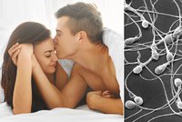 Lepší kvalitu spermií mají muži, kteří chodí spát dříve, tvrdí vědci