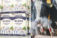 Madeta má výpadek v dodávkách mléka, bude vyrábět méně toho trvanlivého