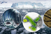 Antarktida zničí svět a přinese super antibiotika. Otázka je, čeho se dočkáme dřív