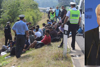 Kvůli pomoci s migranty šil německý ministr do Česka. Zpřísní Němci režim na hranicích?