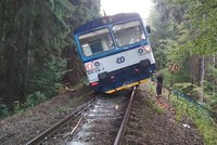 Děsivá nehoda u Nové Paky: Vlak narazil do stromu a celý vykolejil