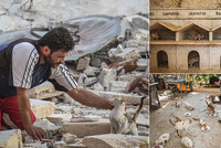 Kočičí muž z Aleppa: Syřan se neúnavně stará o toulavé kočky ve válkou zničeném městě
