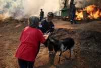 Řecko v plamenech: Hasiči bojují s živlem zatím marně, lidé utíkají z domovů