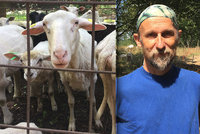 Pasáček o pastvinách v Praze: Za kozami a ovcemi vodí děti, aby si vytvořily hluboký vztah k přírodě