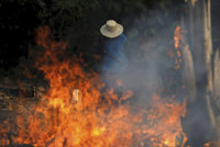 Amazonie v plamenech: Krotit tisíce požárů bude i armáda, svět nabízí pomoc