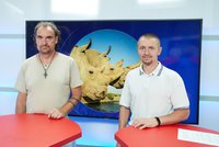 Vysíláme z Blesku: Umělé oplodnění. Nová naděje pro nosorožce?