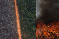 Hořící Amazonie bude mít děsivý dopad a naruší i potravní řetězec, varují ekologové