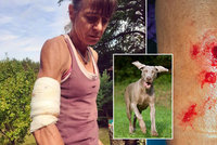 Vědkyně Alena přežila střet s lidojedy, doma v Blansku ji potrhal pes