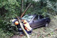 Tragická nehoda na Táborsku: Řidič zemřel po nárazu do stromu!