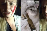 Kvůli ochráncům zvířat farmáři utratili na 100 králíků! Aktivisti zachránili jen 16 zvířat