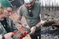 Veterináři z Čech pomáhají v hořící Amazonii: Jen občas najdeme žijící zvířata