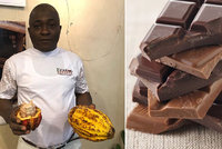 Přijdeme o čokoládu? Pěstování kakaa ohrožuje „AIDS stromů“ i odliv mladých, zoufá farmář