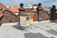 Plzeňský magistrát včelaří: Na střeše radnice vyrostly dva úly, med budou rozdávat