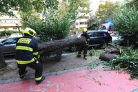 Vichr bičuje Česko: Letadla mají potíže, hasiči v Praze odstraňují polámané stromy