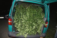 Policisté v Třinci odhalili skupinu pěstitelů marihuany: Drogou měli nacpanou dodávku