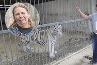 Berouskovi tygři hledají nový domov: Dostane je chovatelka s problematickou minulostí?