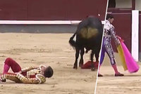 Hrůza v rodině španělského krále: Přítele jeho neteře nabodl býk mezi nohy!