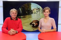 Vysíláme z Blesku: Czech Press Photo. Kdo pořídil nejlepší reportážní fotku?