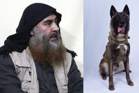 Pes zraněný při útoku na Bagdádího se zotavuje. Je to fena a jmenuje se Conan