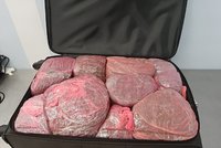 Kufry napěchované drogami! Pašerák jich převážel 33 kilo, na letišti v Praze spadla klec